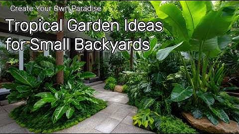 🌴Tropical Garden Ideas for Small Backyards | Create Your Own Paradise 🌺🌴