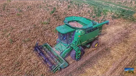 HARVESTING OATS! - JD 9500 & 213