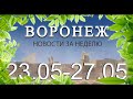 Новости Воронежа (23 мая - 27 мая)