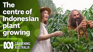Visiting a 10kilometre area with only plant nurseries | Indonesia Special | Gardening Australia