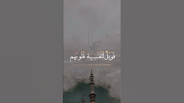 القارئ :ياسر الدوسري / السورة: الزمر (22)