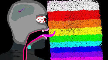 The Factory Color 6 Legs Eliminations Marble Race in Algodoo