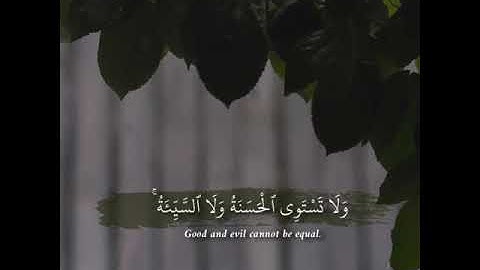 "و من أحسن قولا ممن دعا إلى الله و عمل صالحا ..." تلاوة هادئة 💛 حالات واتساب 💚