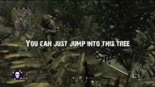 Call of duty 5 courtyard Inside 2 trees glitch