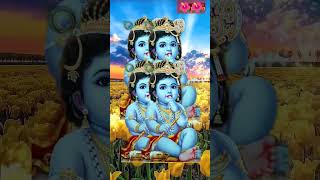 সোনার গৌড় এলো নদীয়ানগরে?❤️Joy gopal shortsfeed youtubeshorts gopala