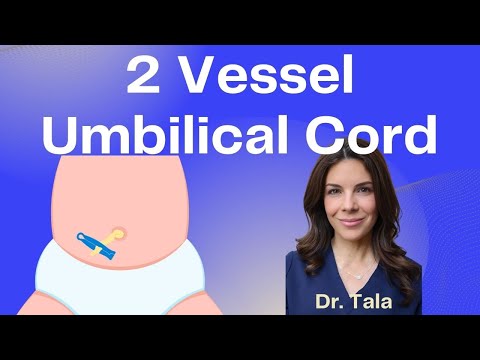 2 Vessel Cord - Tala Talks NICU