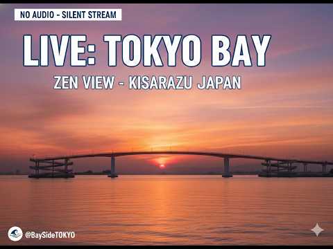 2026/10/15 19:59 LIVE: Tokyo Bay Zen View - Kisarazu, Japan (東京湾ライブ・木更津)