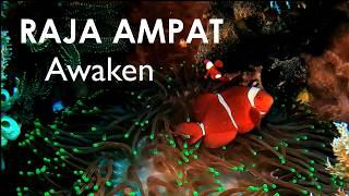 Raja Ampat: The Four Kings Awaken (Ep. 1)