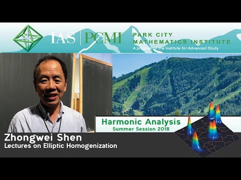 Zhongwei Shen, Introduction