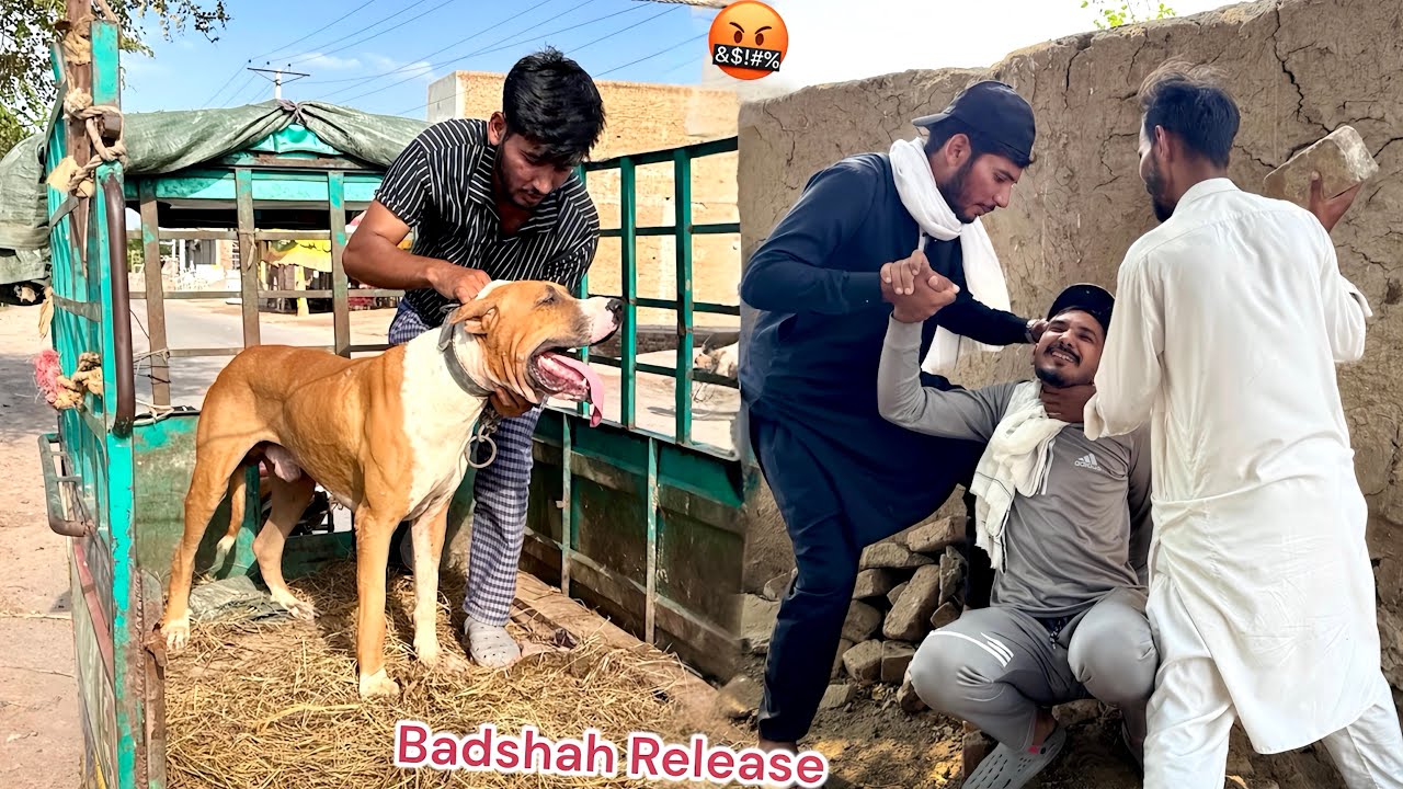 FINALLY BASSAM SY BULLY DOG BADSHAH AZAD KARVA LIA 🤬