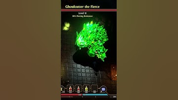 Content Showcase - Pet Transformations