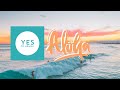 Yes to Hawaii | CHANNEL TRAILER
