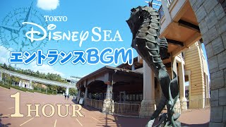 【作業用】東京ディズニーシー　エントランスBGM（アクアスフィア プラザ デイ）リアルサウンド 〜 気分はパーク・エントランス 〜