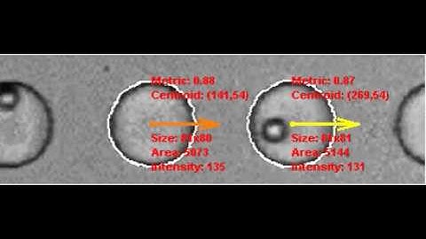 DMV Case Study 3 - Inertial Cell Encapsulation