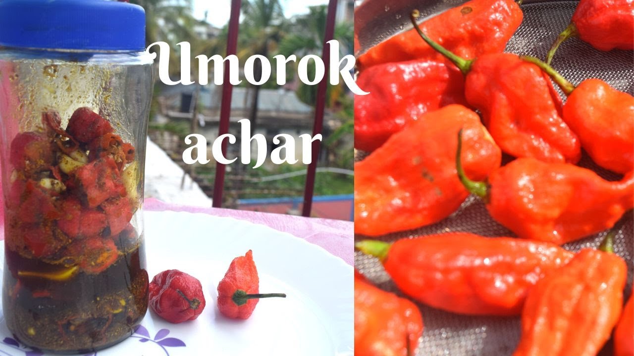 Umorok Achar semba/ Naga King chilli pickle/ how to make king chilli