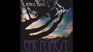 Watch Rare Bird Fears Of The Night video