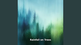 Rainfall on Trees Flow, Pt.14