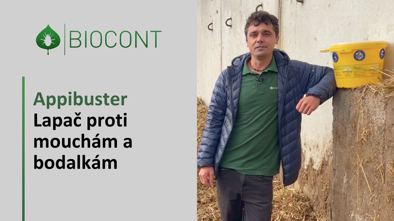 Instalace lapače proti mouchám a bodalkám - Appibuster