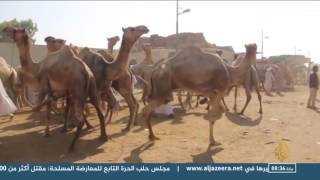 هذا الصباح-سوق الجمال في القاهرة