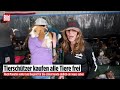 Wie aus 101 Dalmatiner: 1500 Beagle von aus Zucht-Anlage in den USA gerettet