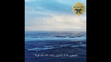 #تلاوة_ندية من #أواخر #سورة_آل_عمران #للشيخ #بندر_بليلة