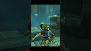 Great moment in Zelda Botw!