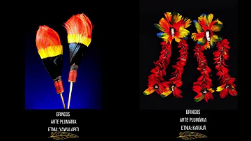 Que há em comum na arte plumária dos povos indígenas?