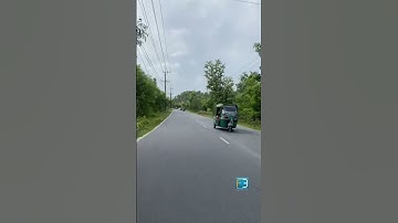 A calm road, green trees, open sky. This is how nature welcomes us when we escape the noise.