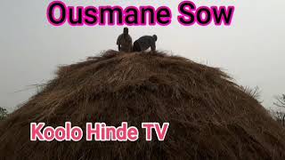 Ousmane Sow-Music Traditionelle Peul