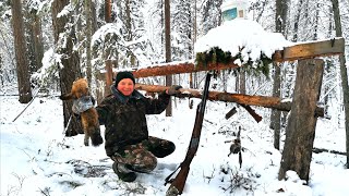 Заезд в Тайгу. Проверка капканов. Потеряли собак