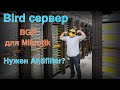 Bird и Mikrotik сам себе antifilter