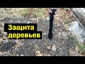 Зимняя защита деревьев от грызунов