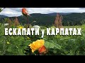 Моя другая вселенная