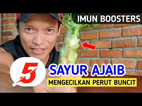 Ramuan Pembakar Lemak