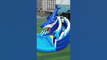This shark inflatable slide is so cool  #bouncycastle #funtime #inflatable #slide