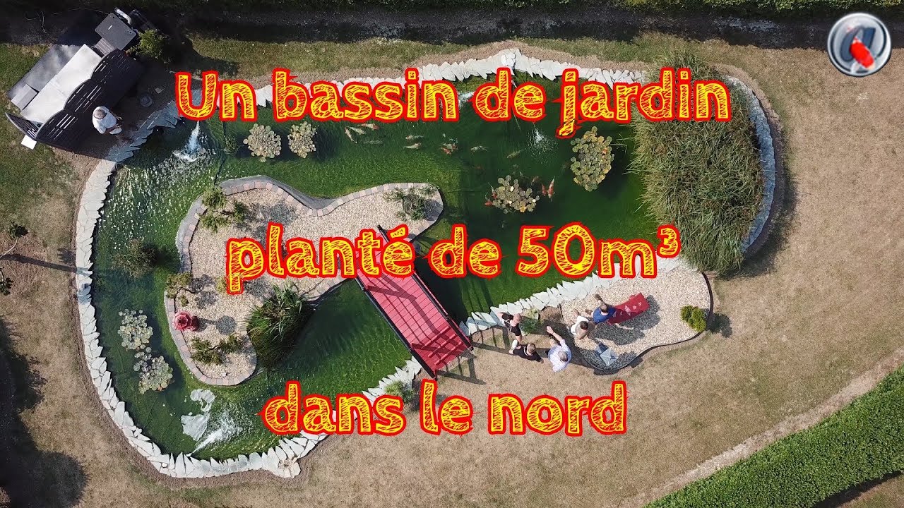 Un bassin de jardin planté  dans le nord - A garden pond planted