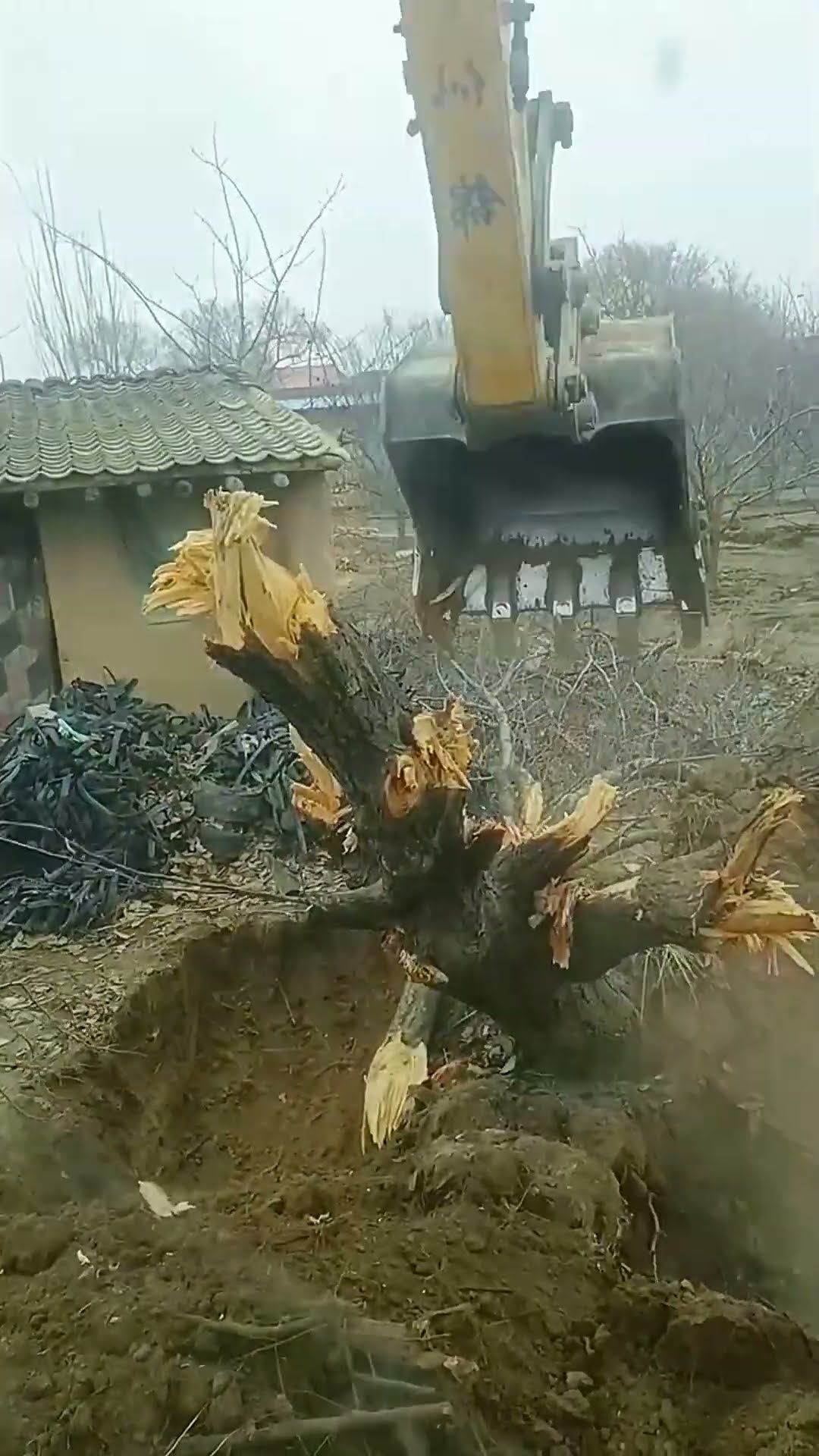 Scrub digging and clearing process- Good tools and machinery make work easy