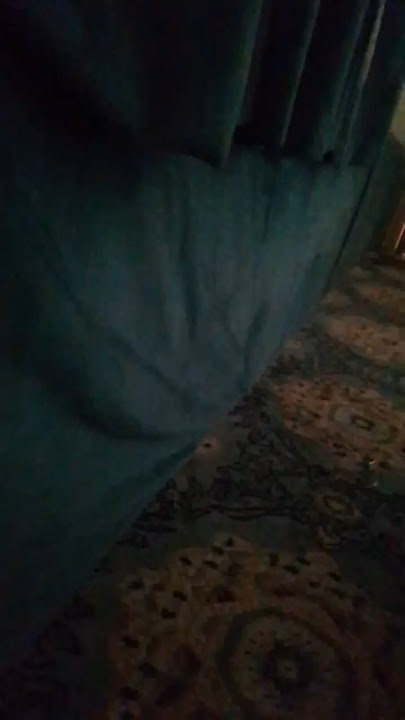 ١٦ أكتوبر ٢٠٢٤
