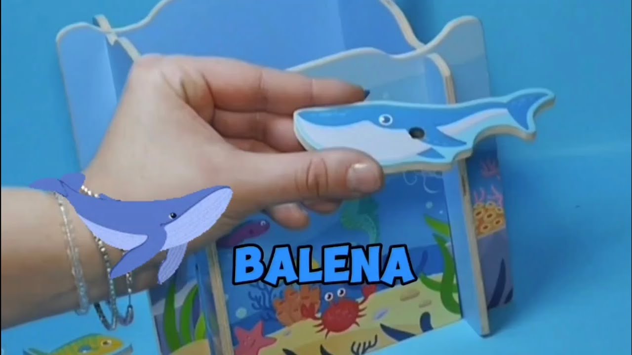 Alla scoperta degli animali del mare! 🐟