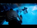 Project X Deutscher Hd
