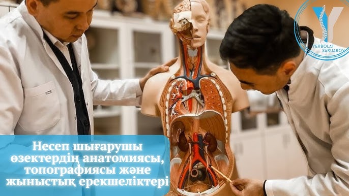 Смотрите Русское порно: мама мен қызы онлайн