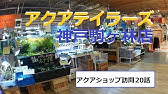 アクアショップ訪問 アクアテイラーズ森ノ宮店 Youtube アクアショップ訪問 アクアテイラーズ森ノ宮店 Youtube