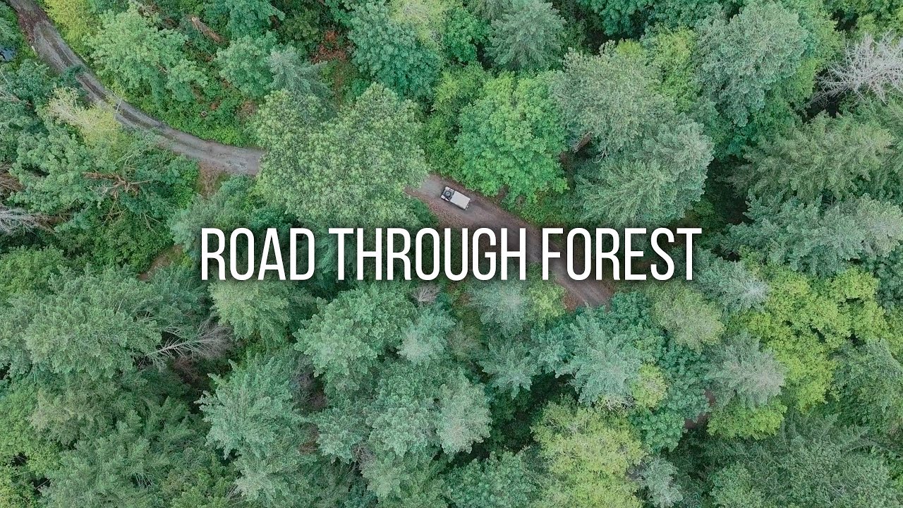 Road Through Forest Drone Footage 4k | FREE STOCK DRONE FOOTAGE