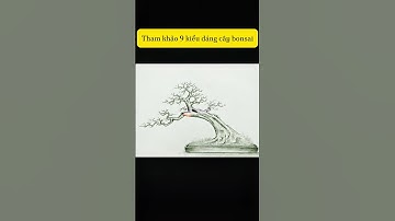 Tham Khảo 9 Kiểu Dáng Cây Bonsai #bonsai #caycanh #xuhuong