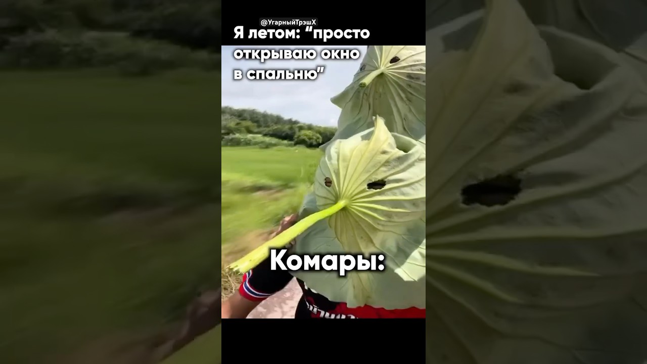 Чертолеты… 