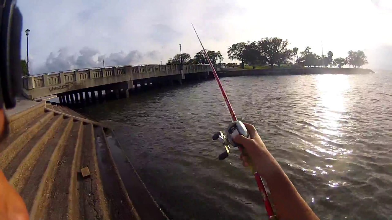 Bank Fishing Lake Pontchartrain Seawall - YouTube