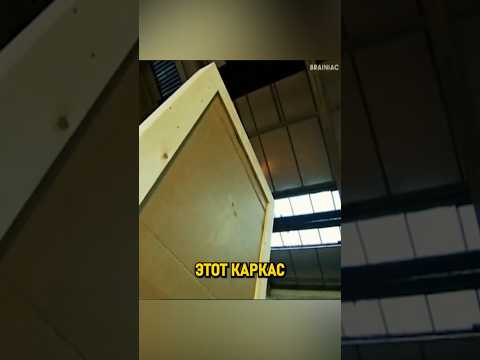 Дверь из КАРТОНА - непреодолимый БАРЬЕР? #shorts