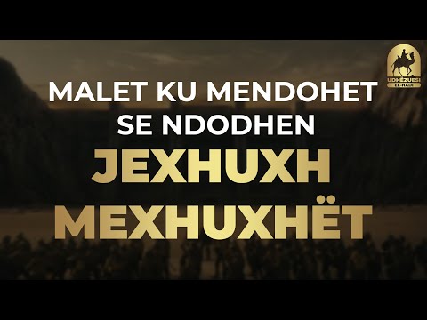 Video: Ku ndodhen amiloplastet?