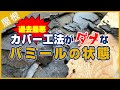 【過去最悪】カバー工法がダメなパミールの状態