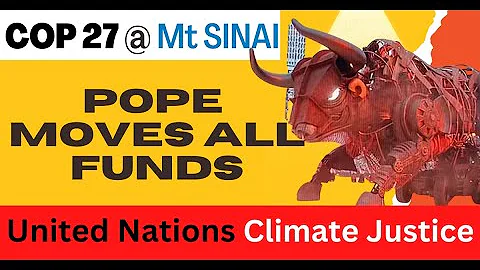 Dr Conrad Vine: Cop 27, UN Climate Conference at S...